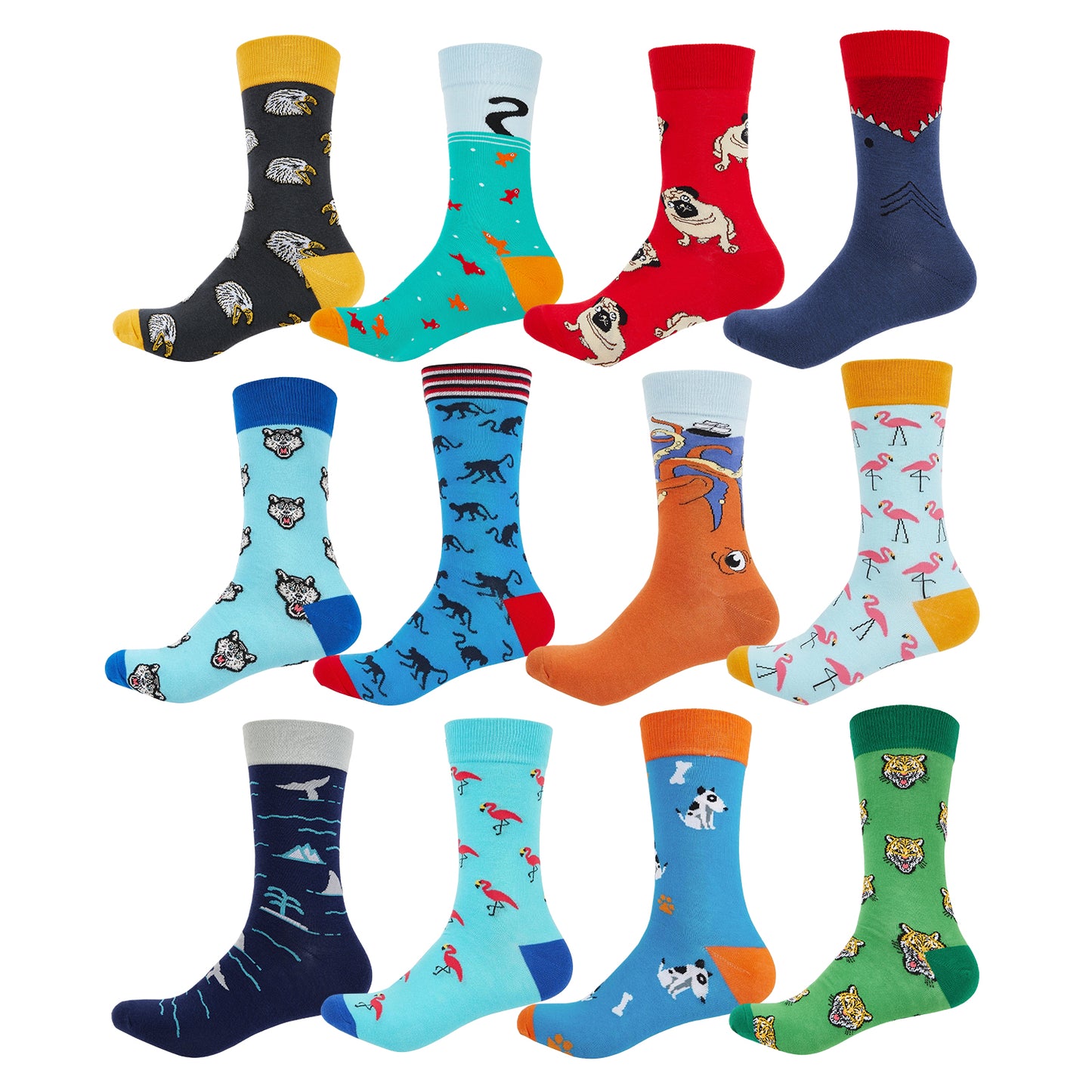 Animal Kingdom Box of Socks Gift Set - 12 Pairs