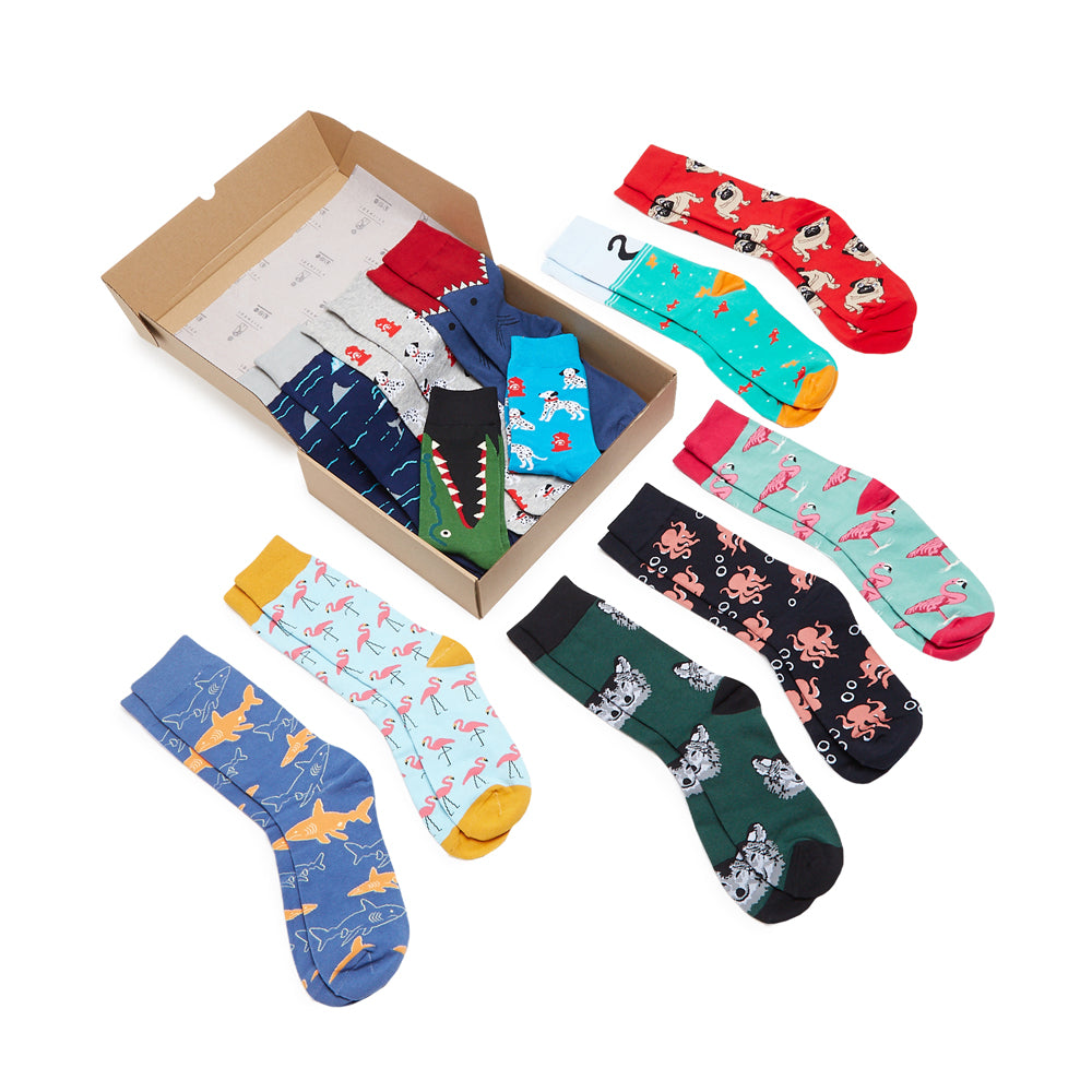 Animal Kingdom Box of Socks Gift Set - 12 Pairs - IDENTITY Apparel Shop