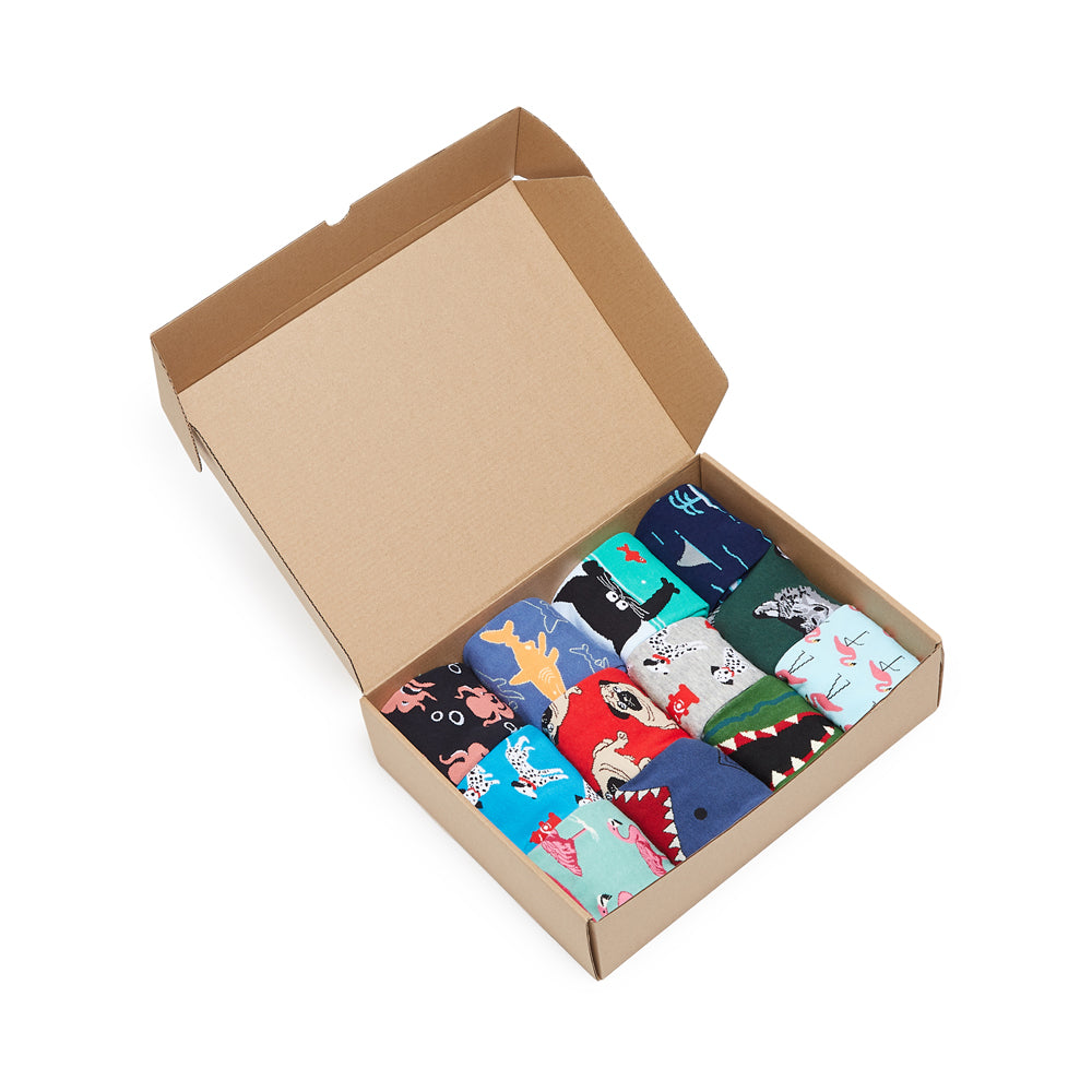 Animal Kingdom Box of Socks Gift Set - 12 Pairs - IDENTITY Apparel Shop