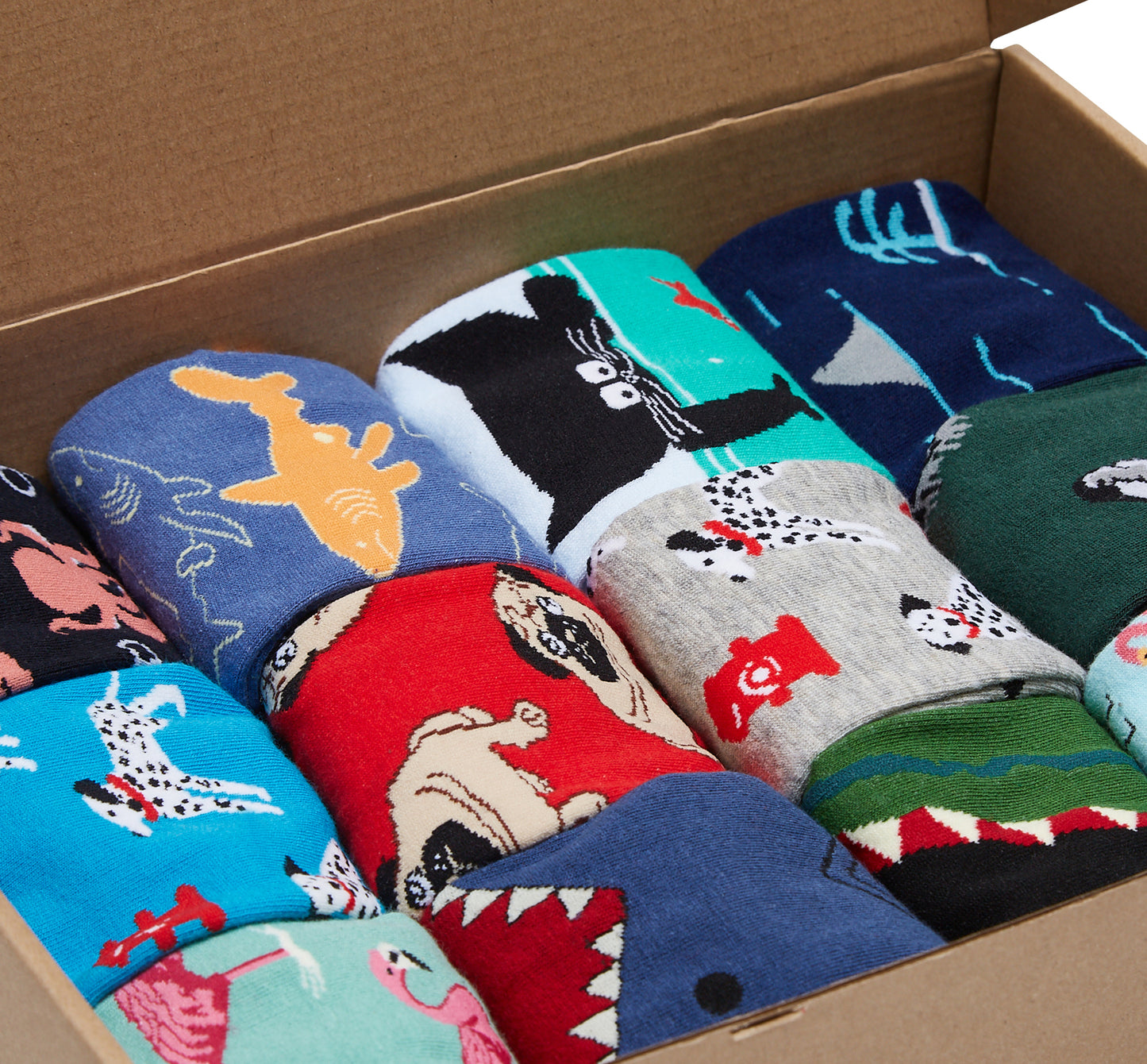Animal Kingdom Box of Socks Gift Set - 12 Pairs - IDENTITY Apparel Shop