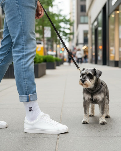 Person walking a dog on a leash in an urban setting