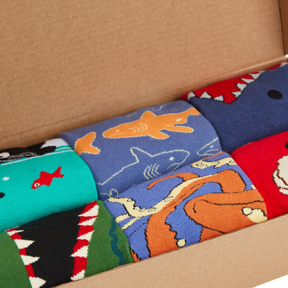 Animal Kingdom Box of Socks Gift Set - 6 Pairs - IDENTITY Apparel Shop